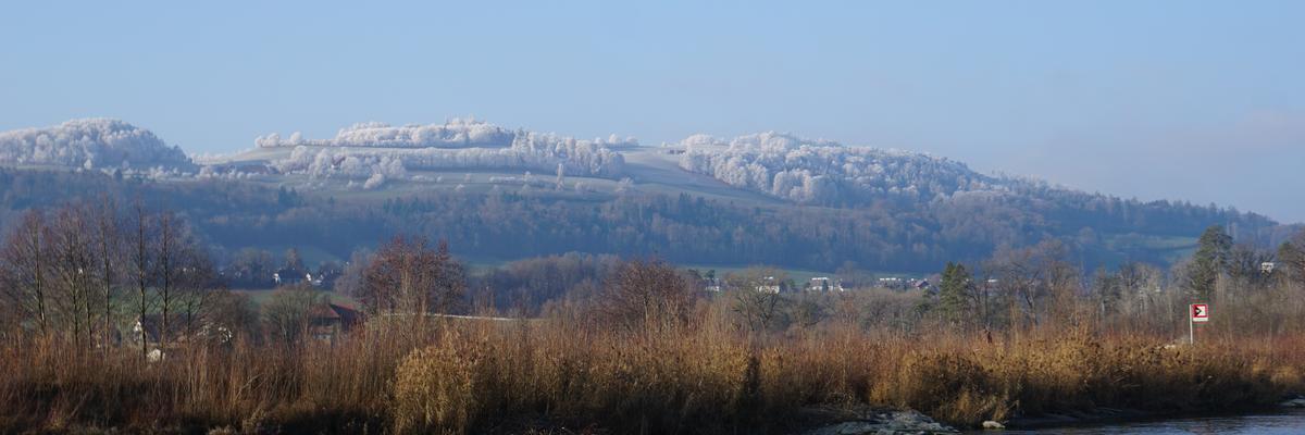 Lübü Gurten Martin