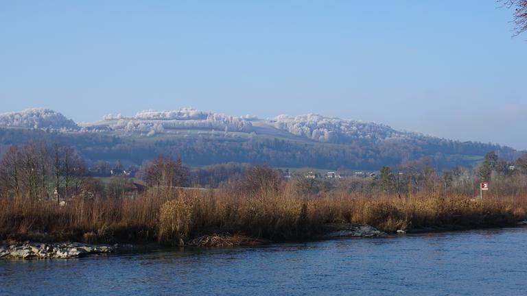 Lübü Gurten Martin