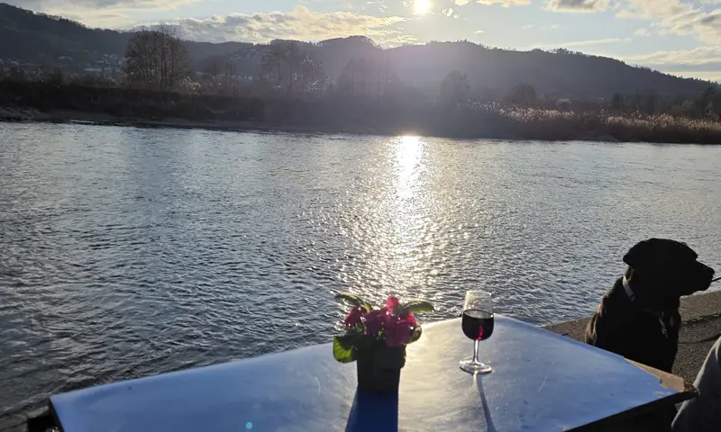 f668215f-1f62-411b-98ef-d9ccde50a78d